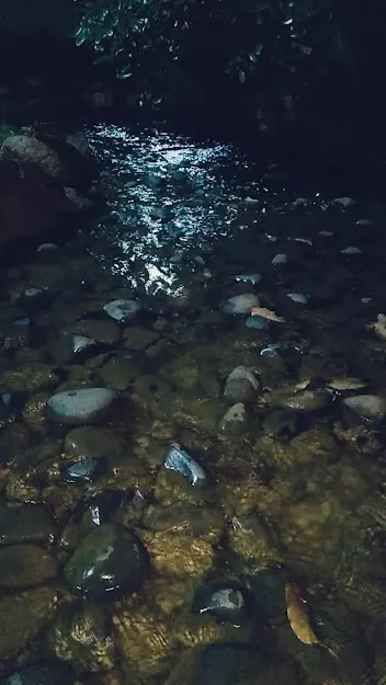 Rock‑laden streams ran along the garden
