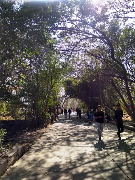Riding under tree canopies